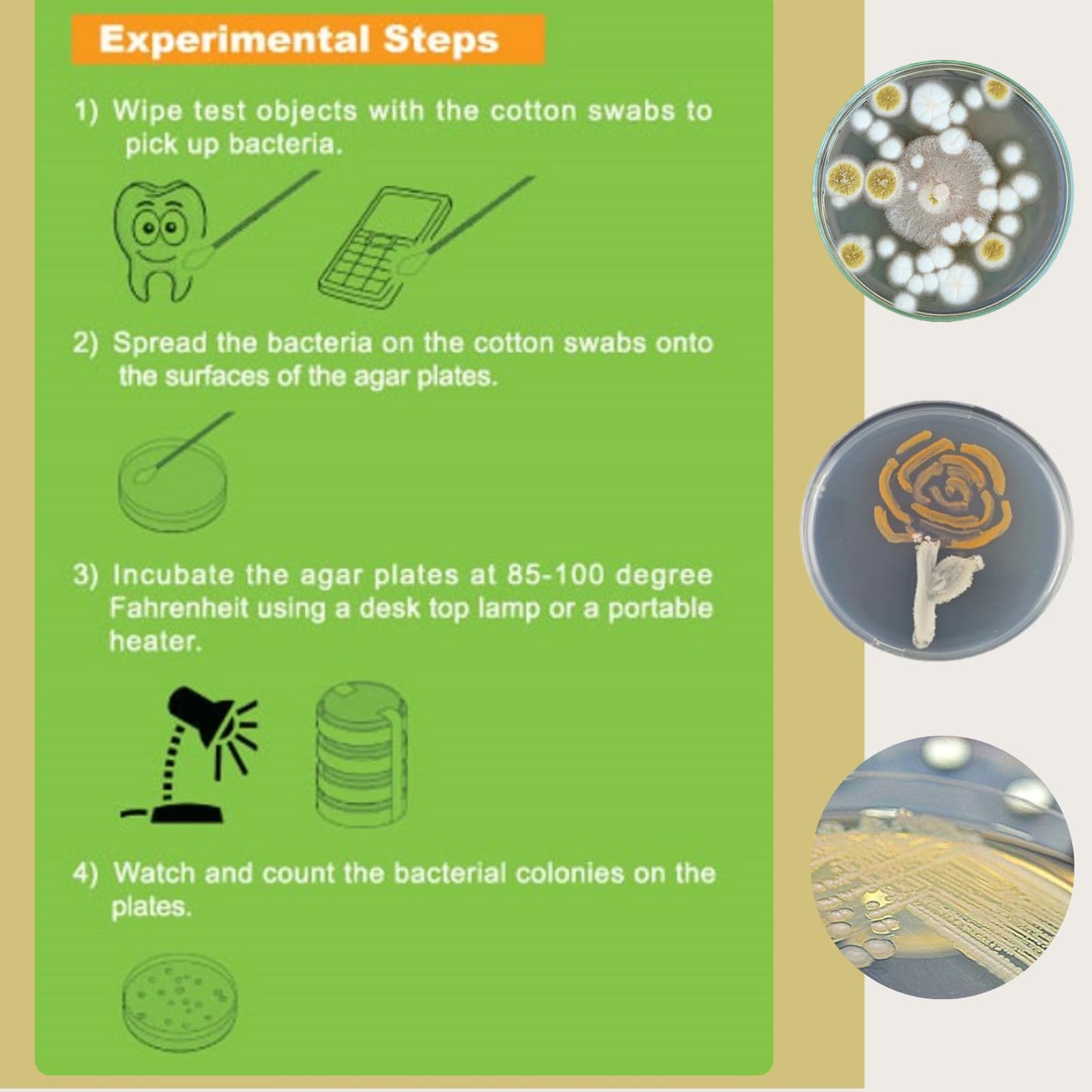 EZ BioResearch Bacteria Science Kit IV – Prepoured LB-Agar Plates & Cotton Swabs, Science Fair Project Kit with Free E-Book