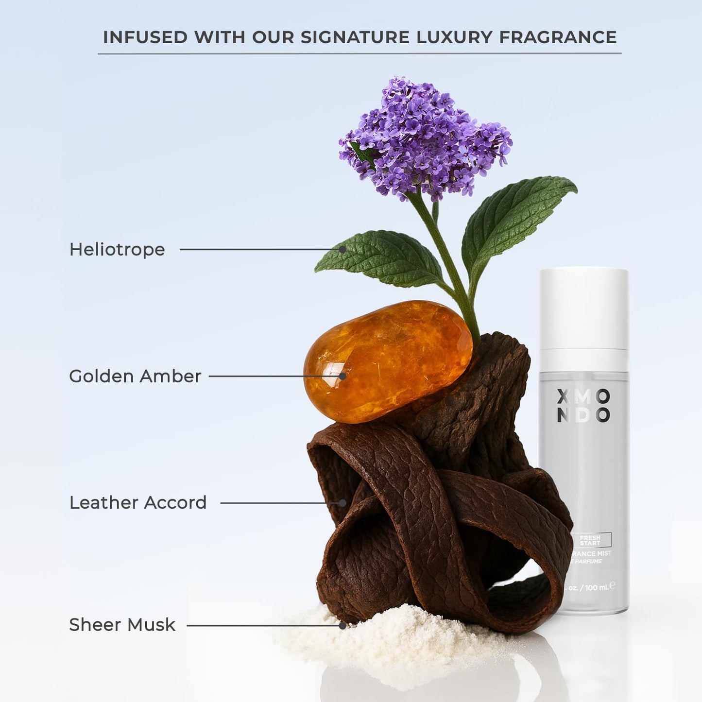 XMONDO Amethyst Hair Mask – Semi-Permanent Purple Color with Bond Booster & Hyaluronic Acid, 8 oz, Vibrant Conditioning Hair Dye