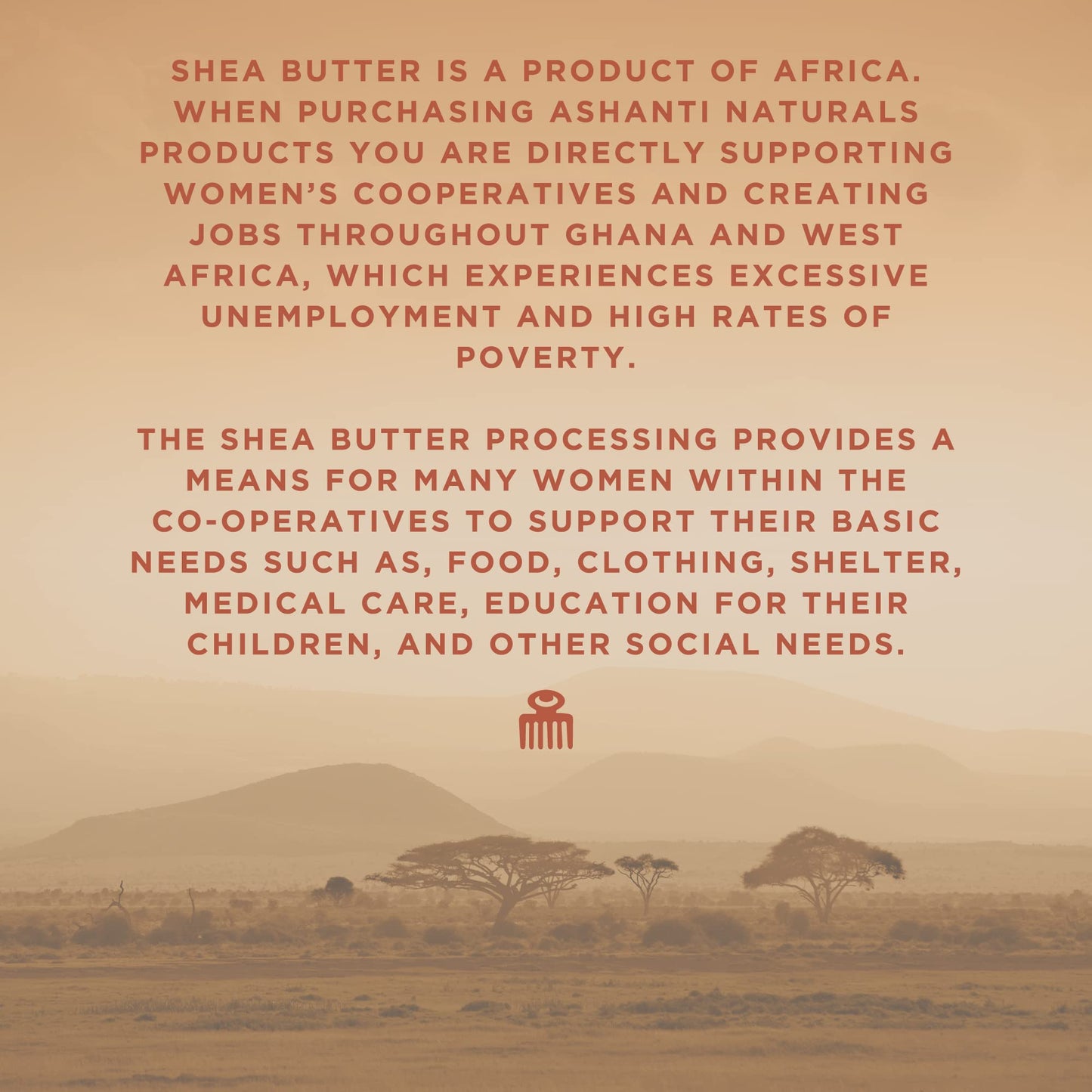 Ashanti Naturals Scented Whipped Shea Butter – Unrefined Ghana Shea with Coconut & Almond Oil, Moisturizing & Soothing, Midnight Amber Souffle 8 oz