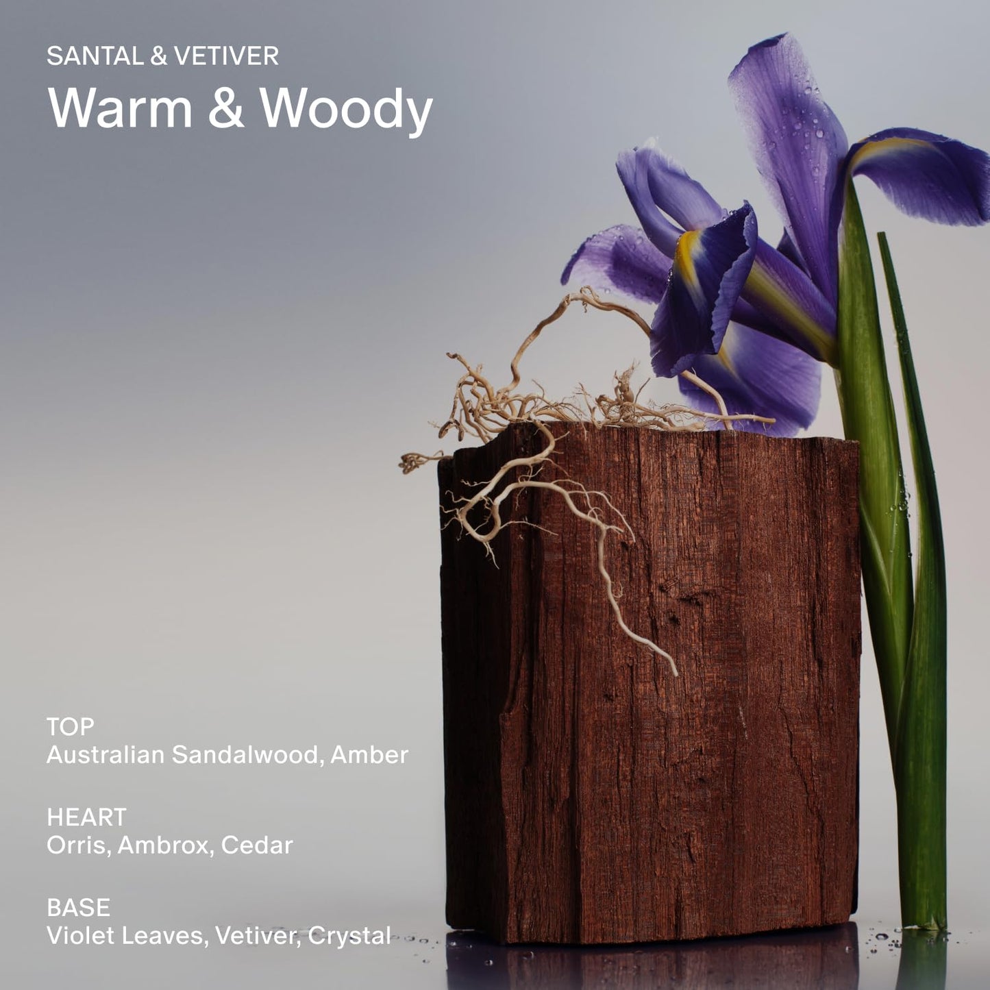 Salt & Stone Body Lotion 100ml – Hydrating, Nourishing & Fast-Absorbing for Women & Men, Restores Dry Skin, Vegan & Cruelty-Free, Santal & Vetiver