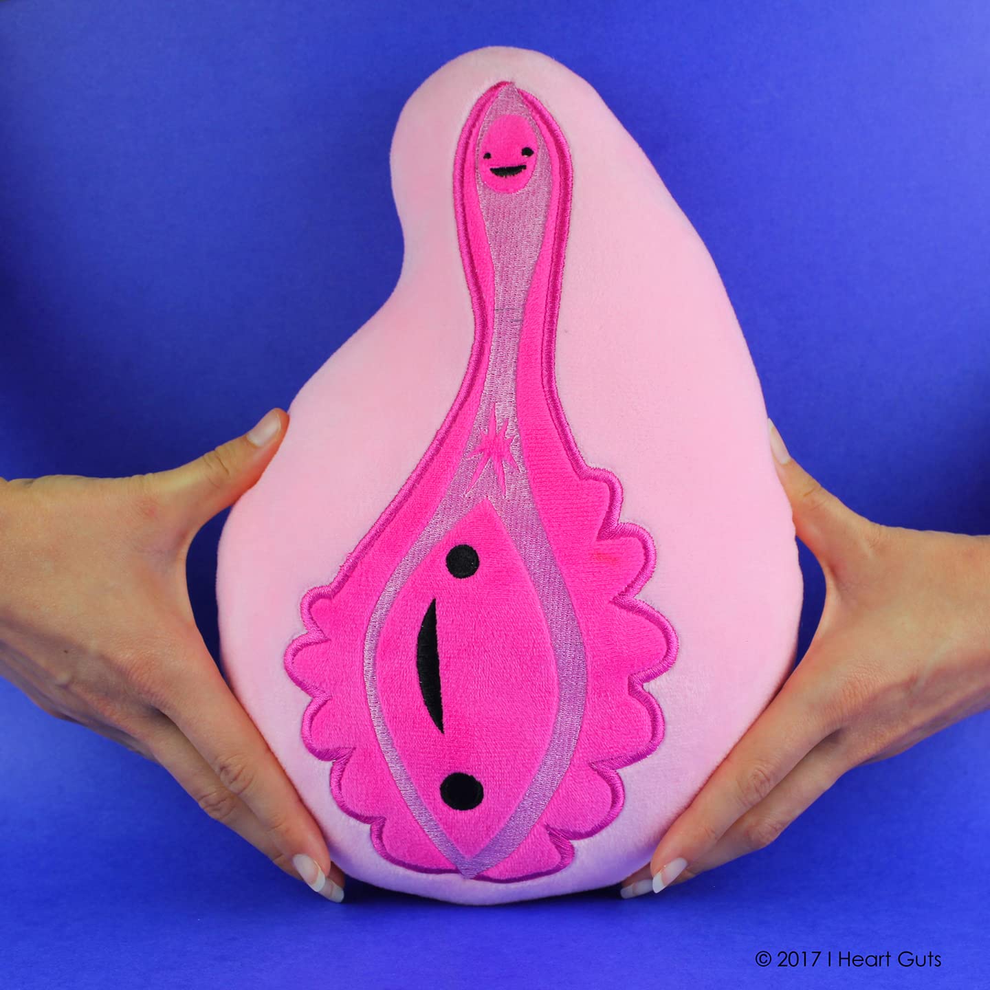 I Heart Guts Vajayjay Plush Pouch - Funny 9.5” Organ Toy, Gag Gift for OB/GYN, Period Cycle, Cute Plushie for Girls & Women