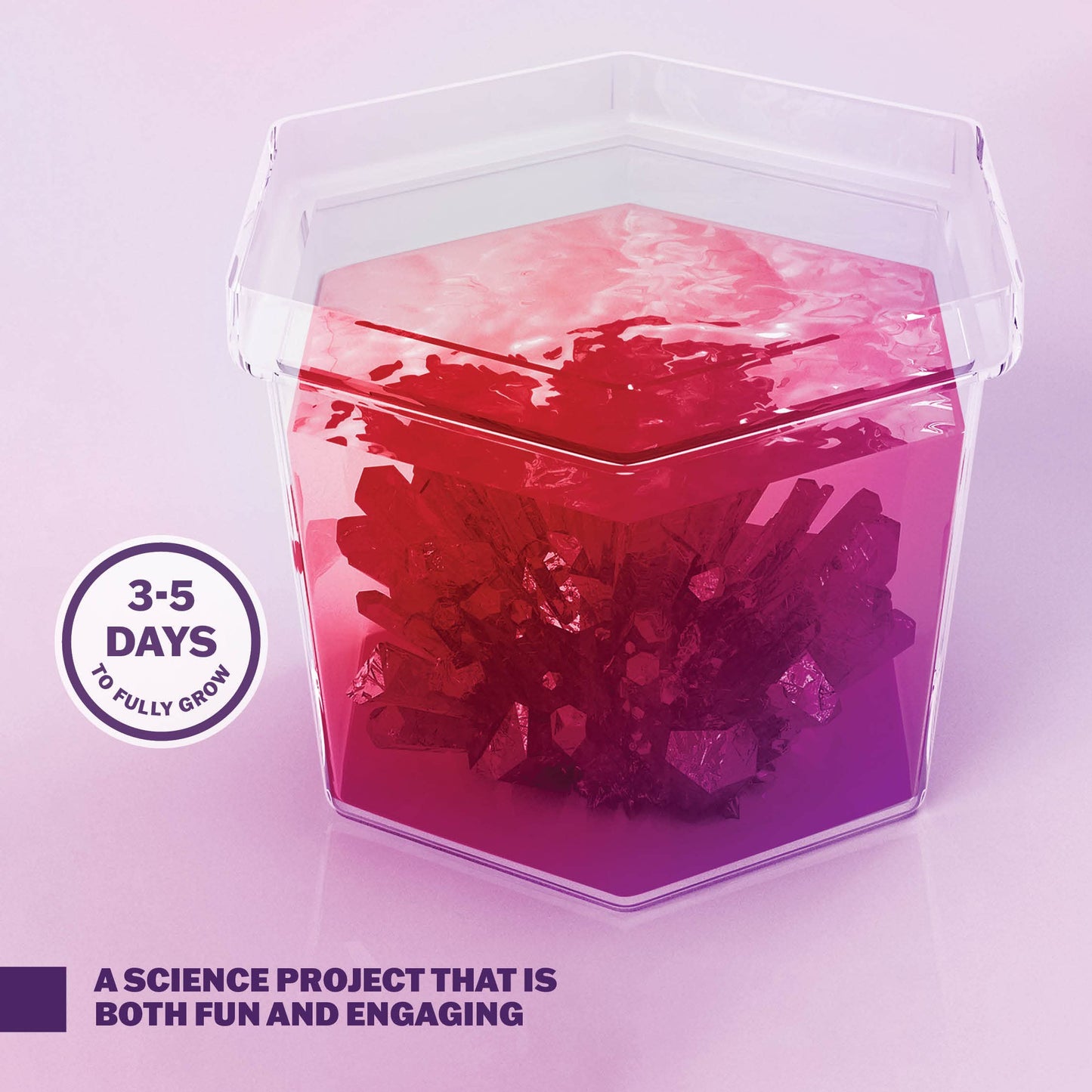 Dan&Darci Crystal Growing Kit for Kids Ages 8-14 – Science Experiment Toys & Cool Arts & Crafts Projects for Boys & Girls