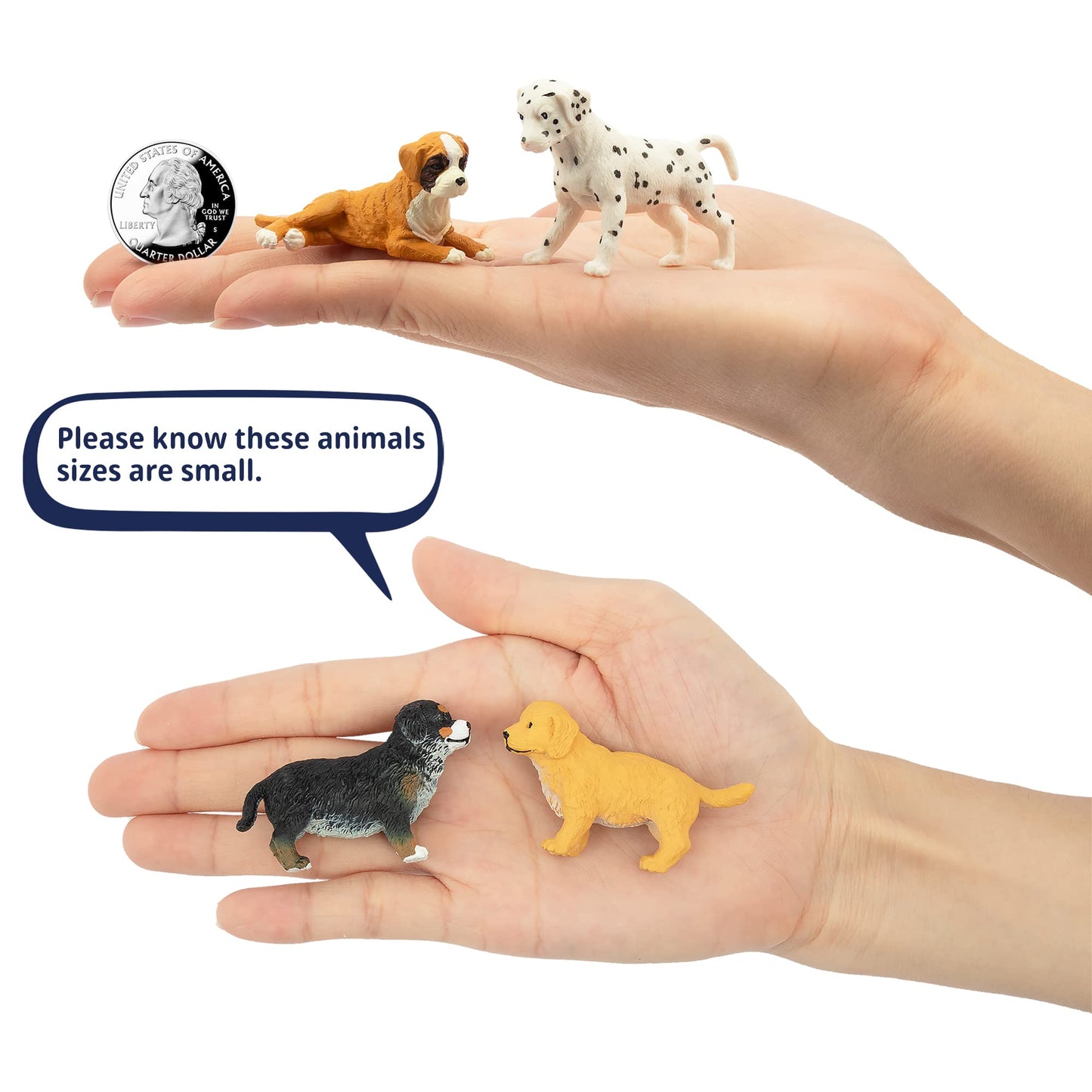 Toymany 12PCS Mini Dog Figurines Playset – Realistic Hand-Painted Plastic Puppies, Tiny Dog Toys, Cake Toppers for Kids & Toddlers
