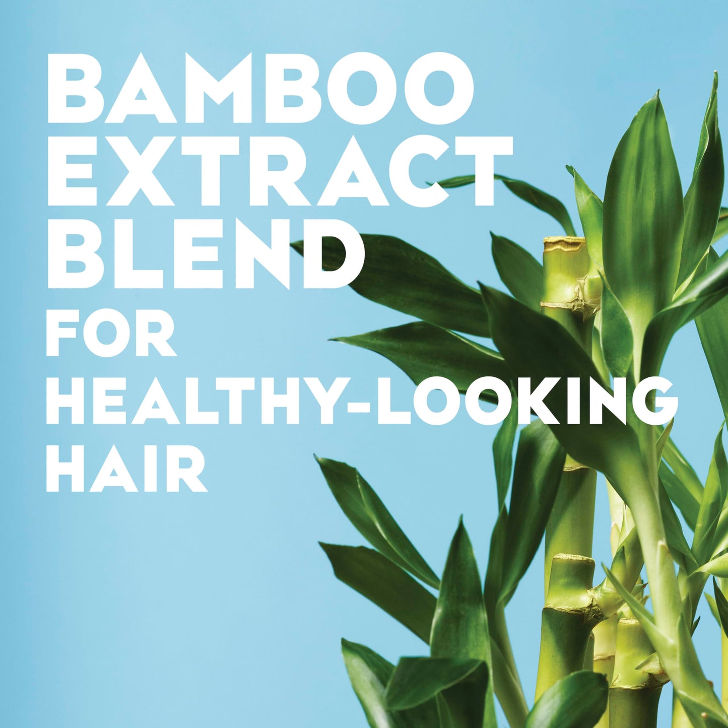 OGX Nourishing + Coconut Oil Weightless Hydrating Hair Mist, Leave-In Treatment with Bamboo Extract, Paraben & Sulfate-Free, 4 Fl Oz