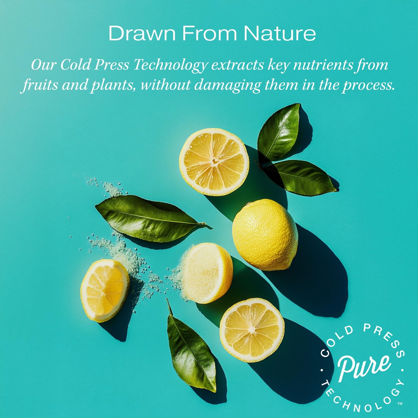 RAW SUGAR Lemon Sugar Liquid Hand Soap, 16.9 Fl Oz Pack of 3 – Gentle, Sulfate & Paraben-Free Hand Wash for Kitchen & Bathroom