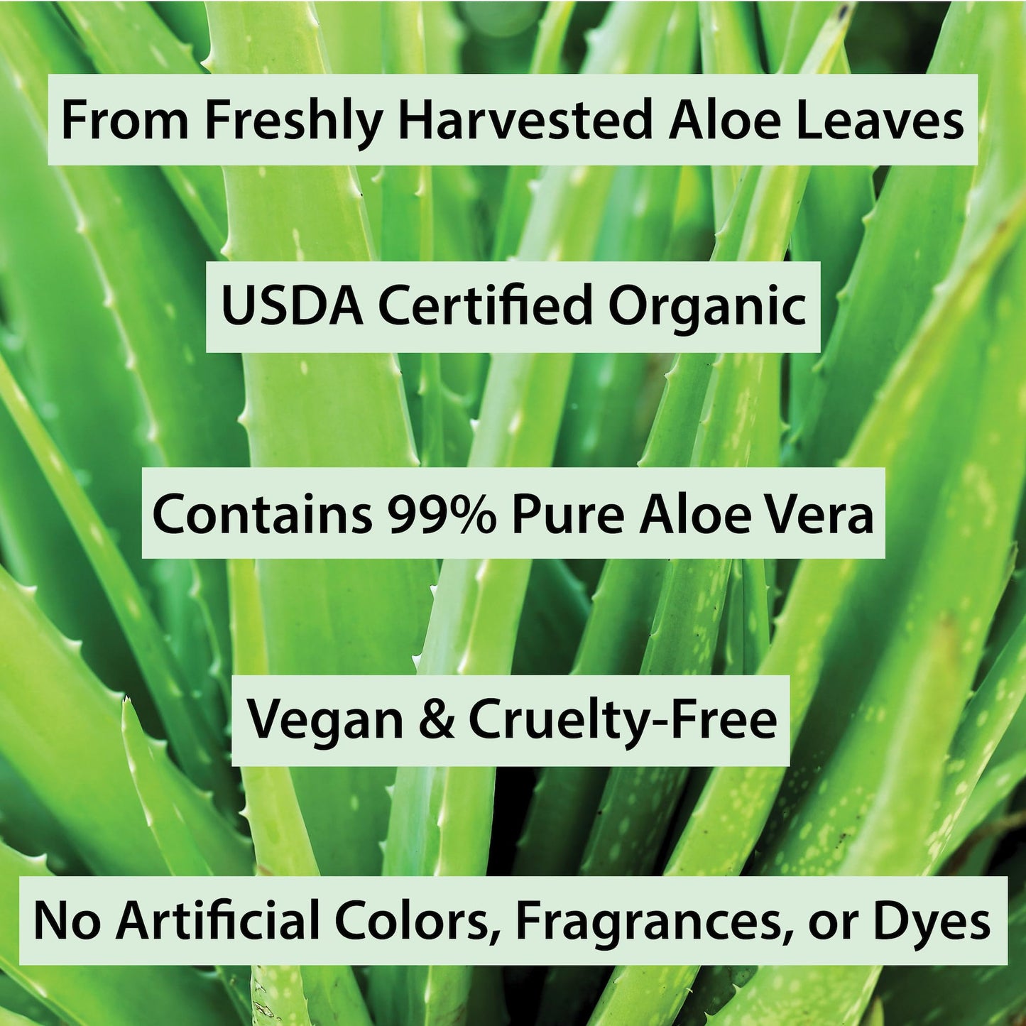 Organic Aloe Vera Gel for Skin, Face, Body, After Sun Care - USDA Certified Organic, 12 fl. oz.