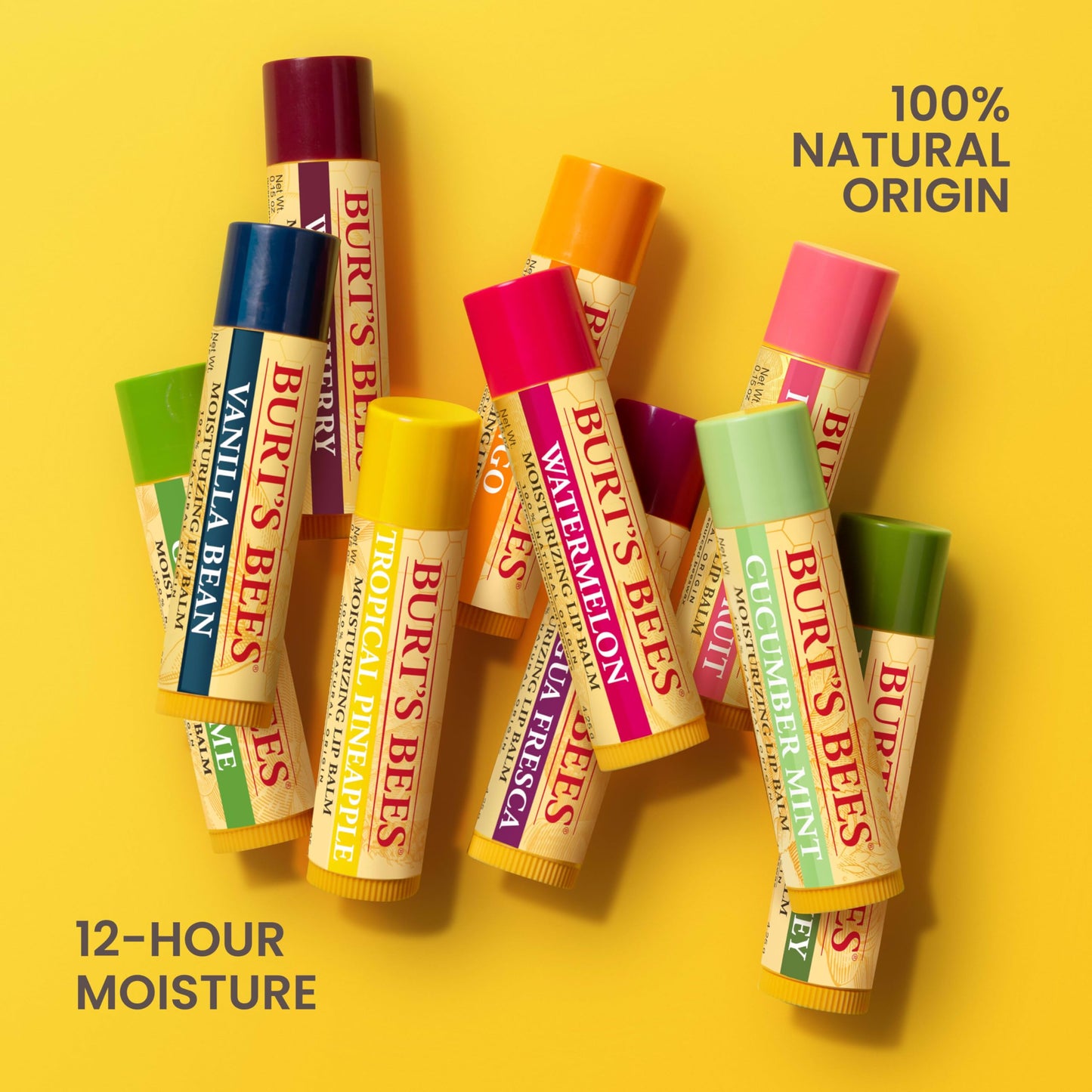 Burt’s Bees Vanilla Bean Lip Balm – Natural Lip Moisturizer with Responsibly Sourced Beeswax, Tint-Free Hydrating Balm, 2 Tubes, 0.15 oz Each