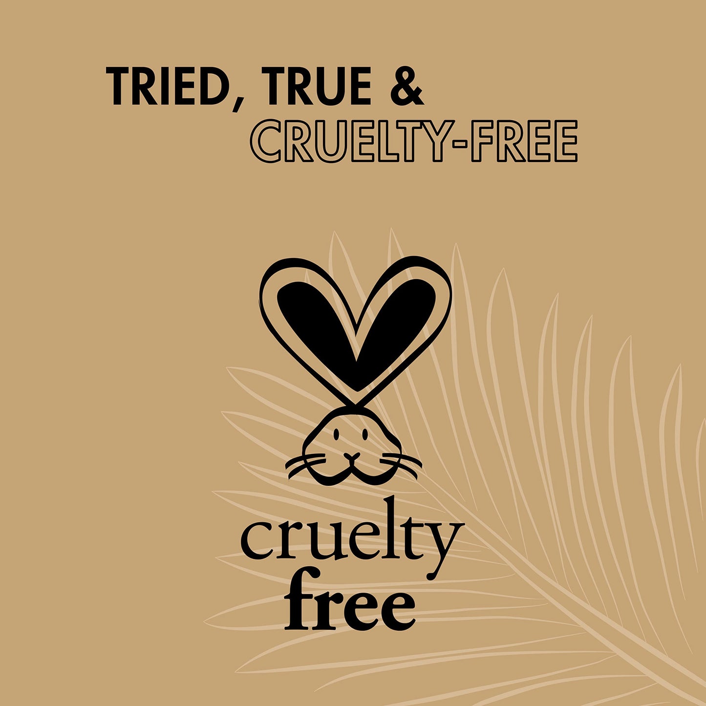 SheaMoisture Daily Hydration Body Oil Virgin Coconut Oil For Dry Skin Paraben Free 8 oz