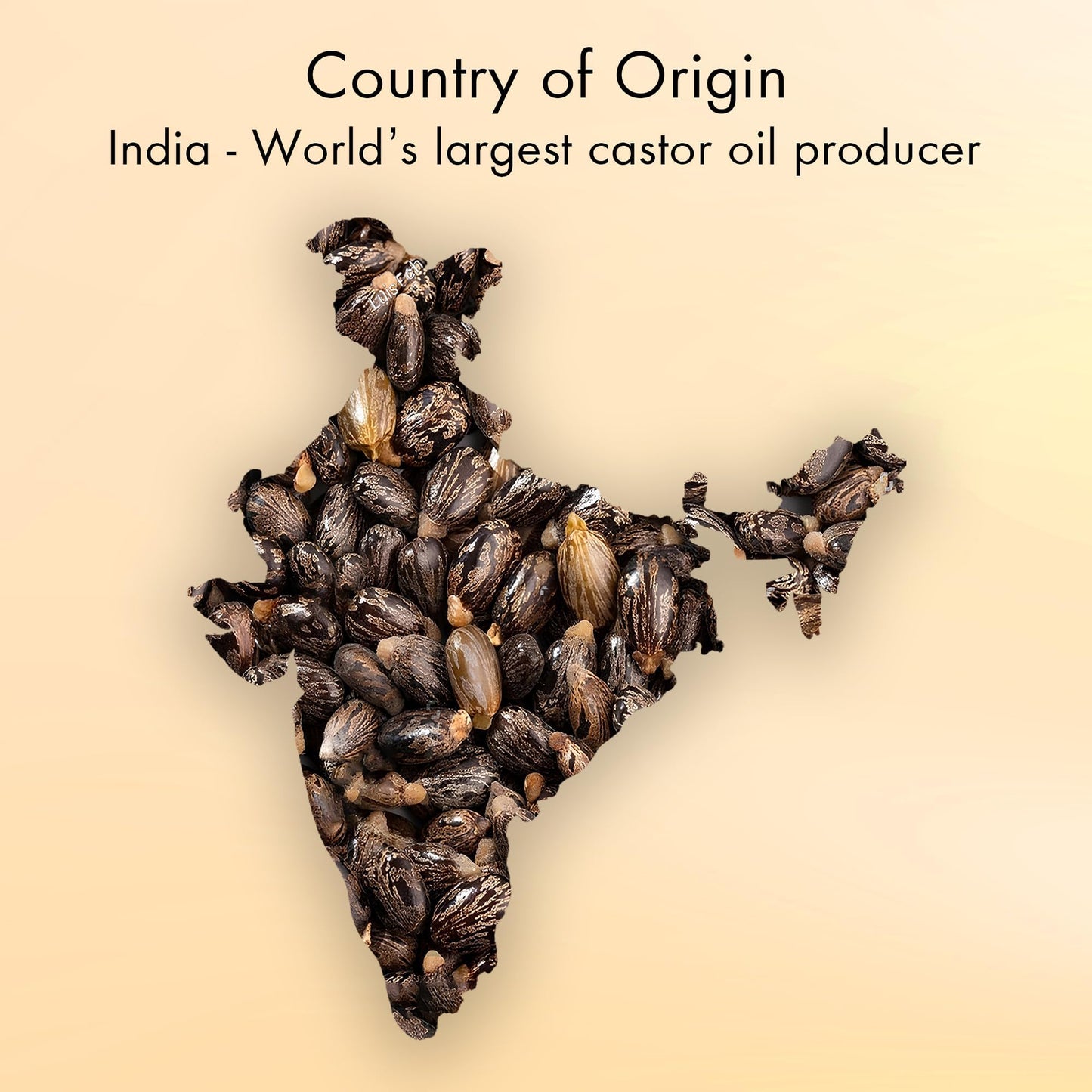 Majestic Pure Organic Castor Oil – 100% Pure, Cold Pressed & Hexane Free – USDA Certified, Moisturizes Hair, Lashes, Brows & Nails, 8 Fl Oz