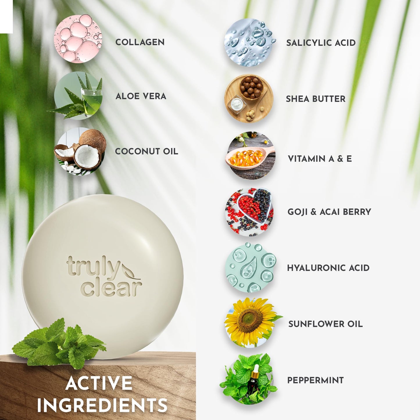 Truly Clear 1-Step Plant-Based Acne Treatment for Face, Chest & Back – Non-Drying, Salicylic + Hyaluronic Acid, Rosacea Safe