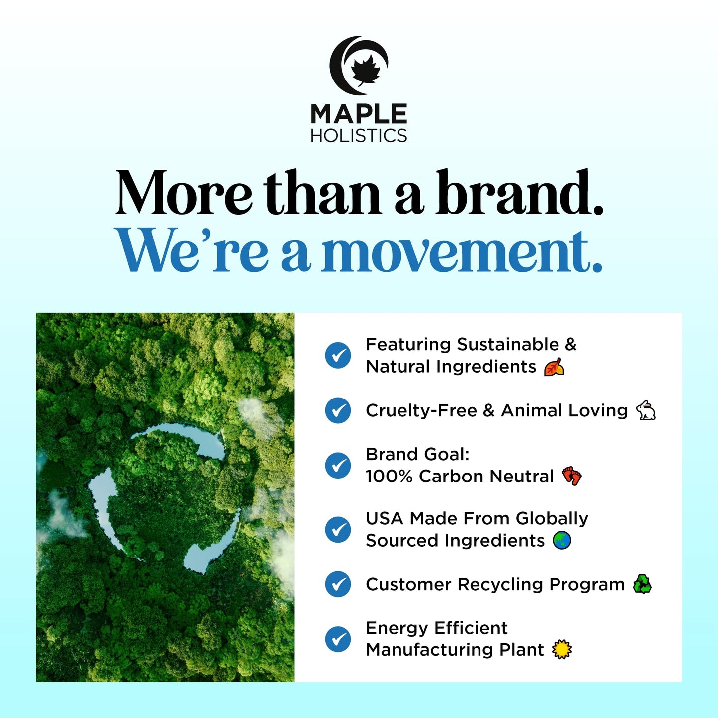 Rosemary Biotin Shampoo & Conditioner Set | Volumizing Hair Care for Thinning Hair | B Vitamin-Enriched | Color Safe, Sulfate & Paraben Free, 8 Fl Oz