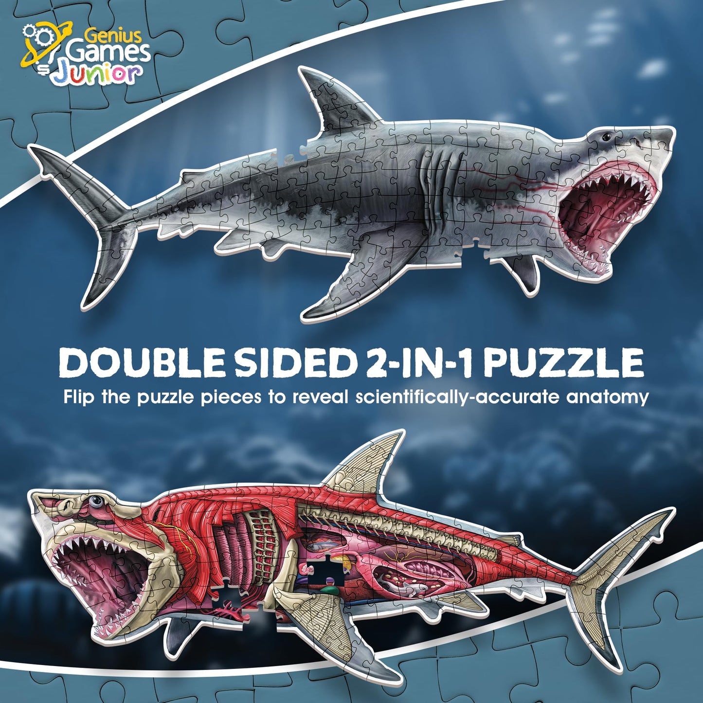 Shark Animal Anatomy 100-Piece Double-Sided Floor Puzzle – Large Educational Jigsaw for Kids Ages 3-10, Toddlers & Family Fun
