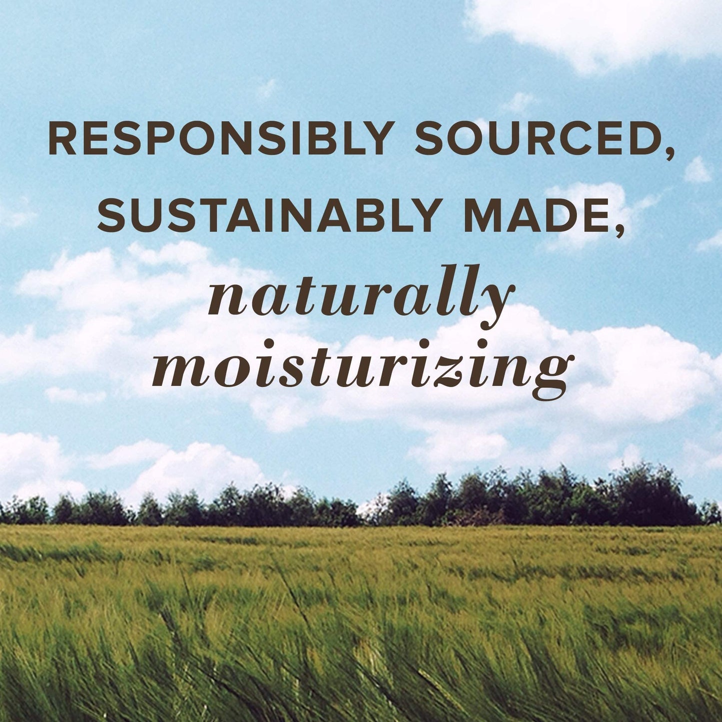 Burt's Bees All Weather SPF 15 Lip Balm, Water-Resistant Lip Moisturizer, Tint-Free, Natural Conditioning Treatment, 2 Tubes, 0.15 oz.