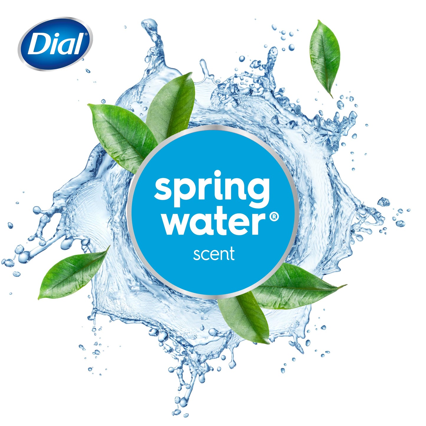 Dial Body Wash, Refresh & Renew Spring Water, 32 fl oz