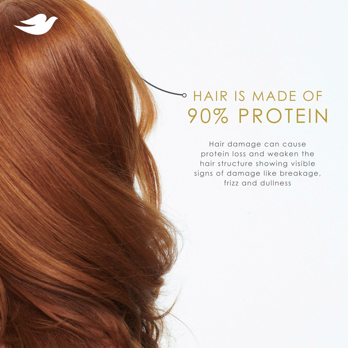 Dove Intensive Repair Amino Serum for Damaged Hair with Bio-Protein Care Technology 3.3 oz