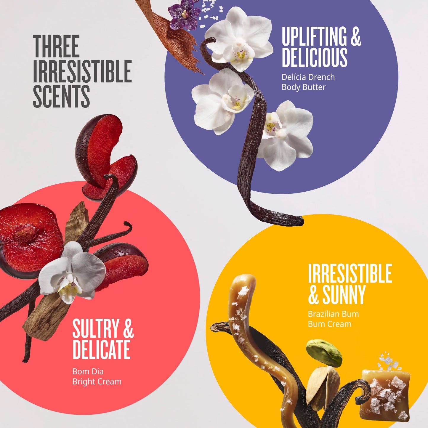 SOL DE JANEIRO Rio Trio Mini Body Cream Set - Bum Bum, Delicia Drench & Bom Dia Bright 50ml Each, Amazon Exclusive Trial ($48 Value)