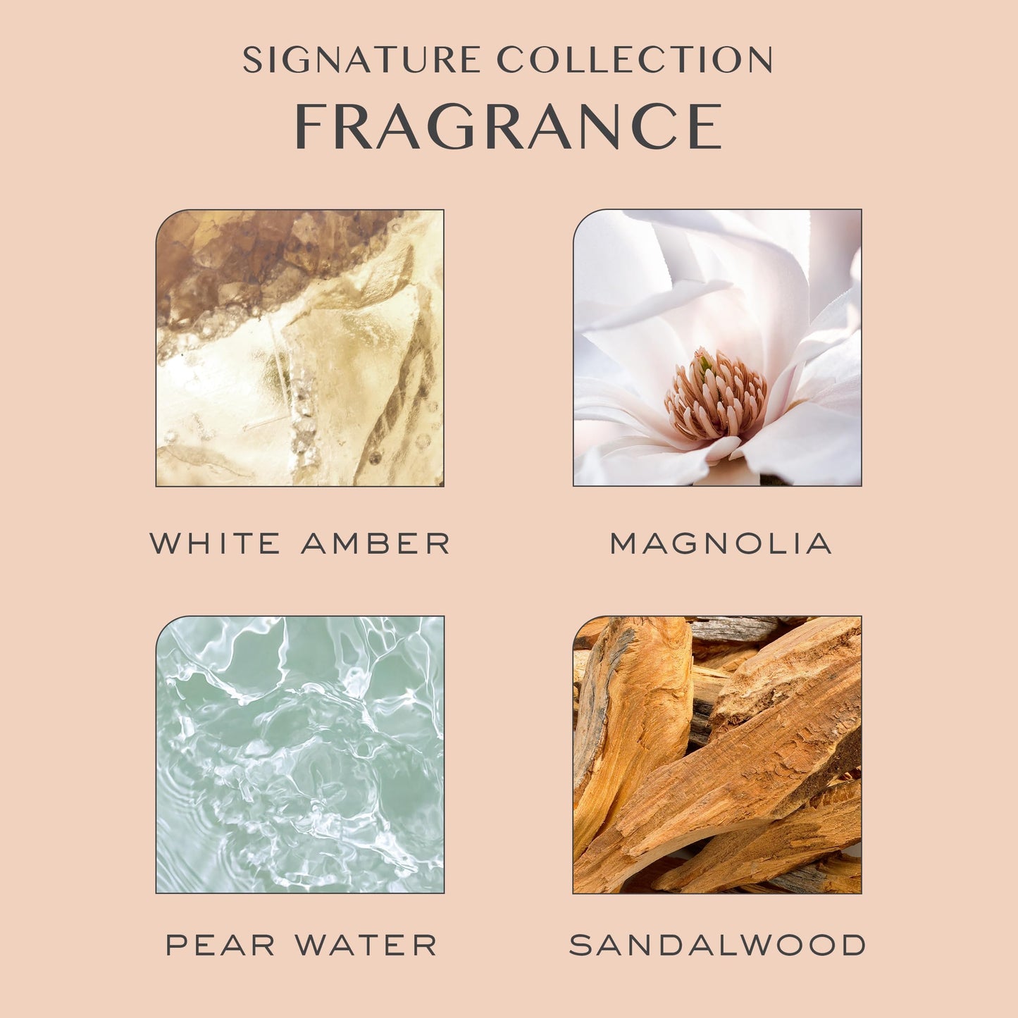 Kristin Ess Hair Signature Sulfate-Free Shampoo & Conditioner Set – Moisturizing, Frizz Control, Color Safe, Vegan, Paraben-Free, Pear Scent