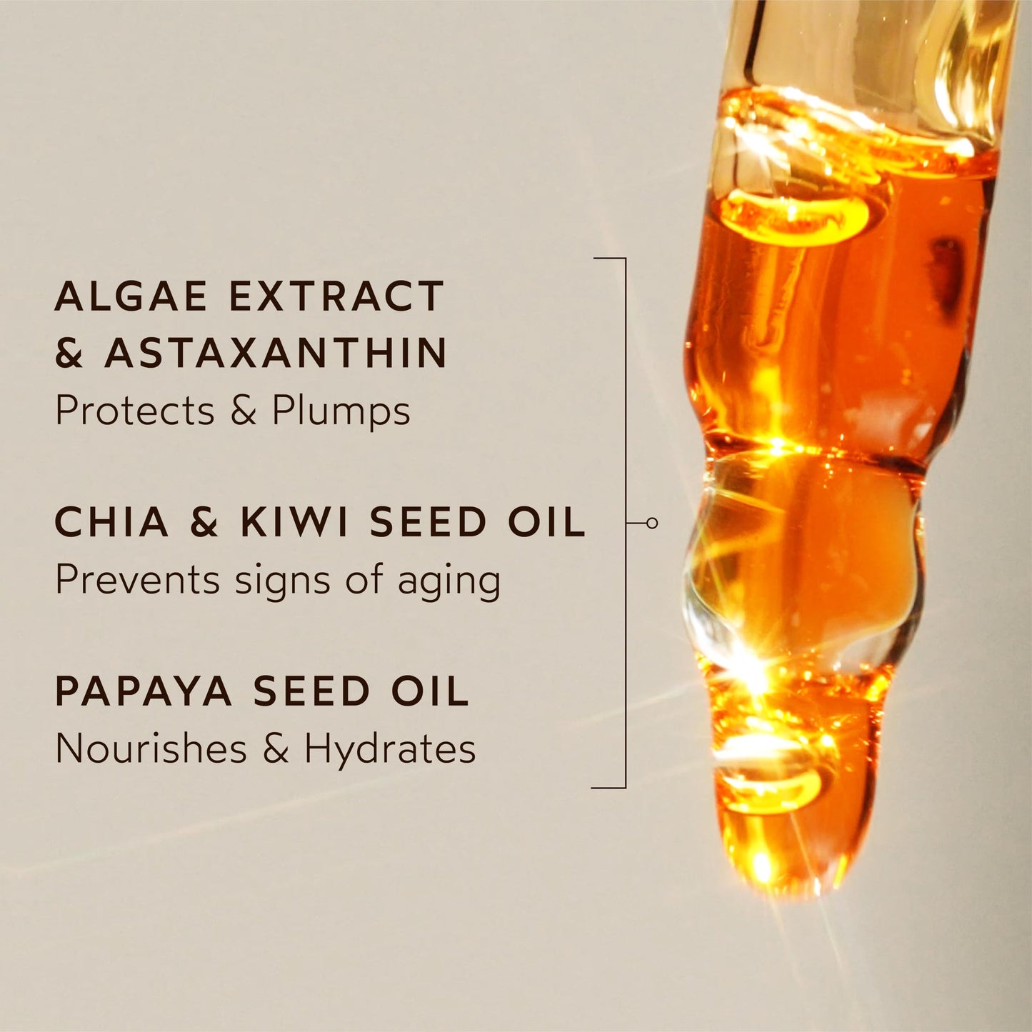 True Botanicals Renew Pure Radiance Face Oil – Anti-Aging, Fine Lines & Wrinkles, All Skin Types, Algae Extract, Vegan, 1 fl oz