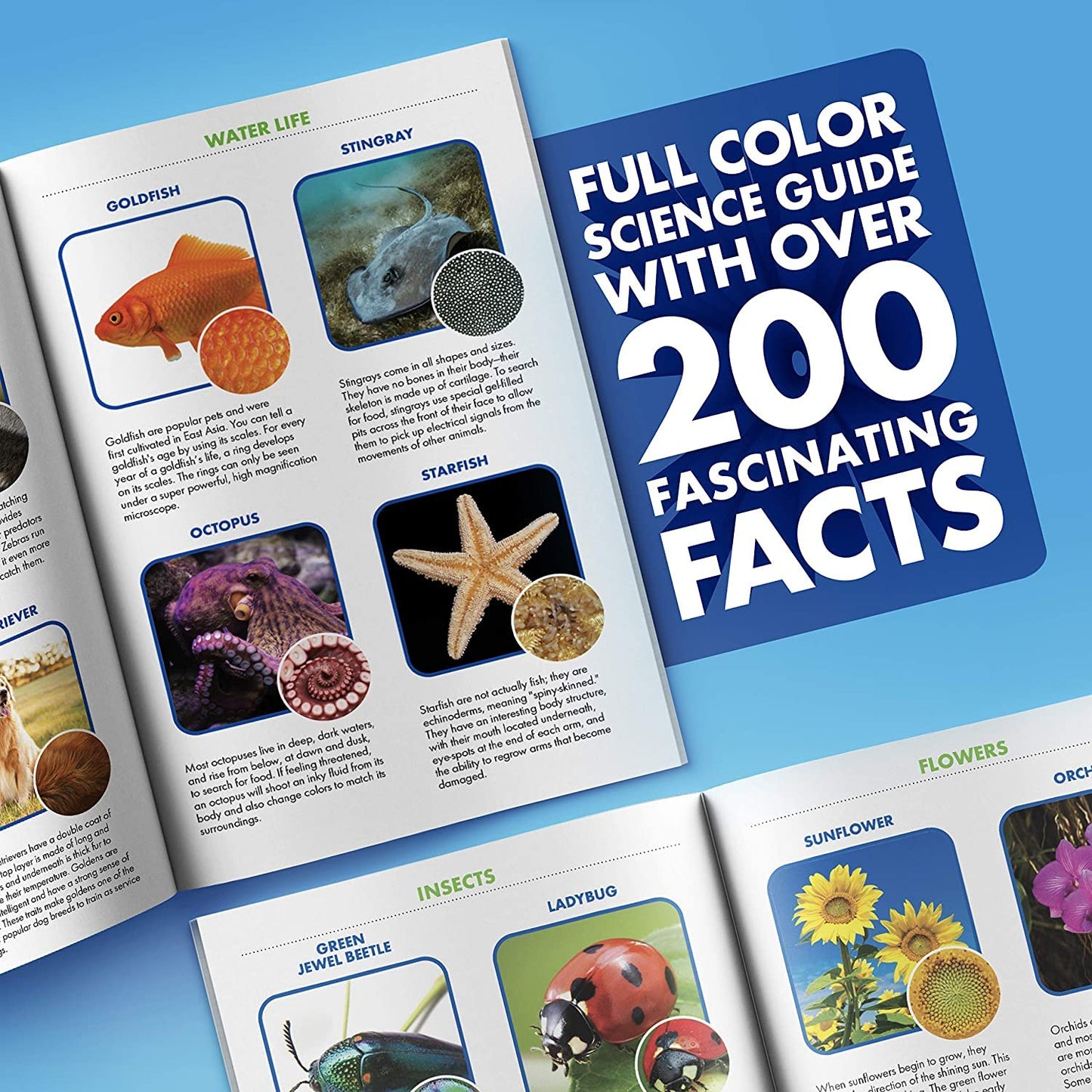 Educational Insights GeoSafari Jr. Kidscope, Kids Microscope, STEM Toy, Easter Basket Stuffers for Kids, Gift For Boys & Girls, Ages 5+