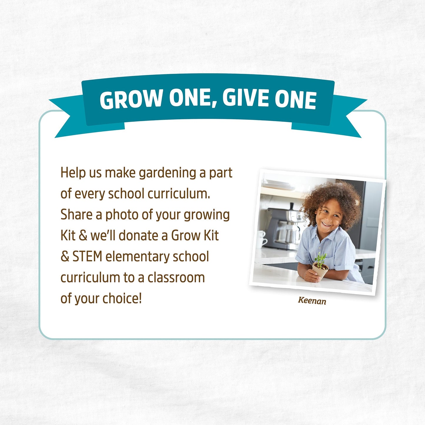 Back to the Roots Kids Science Grow Kit 2ct - Watermelon and Sunflower