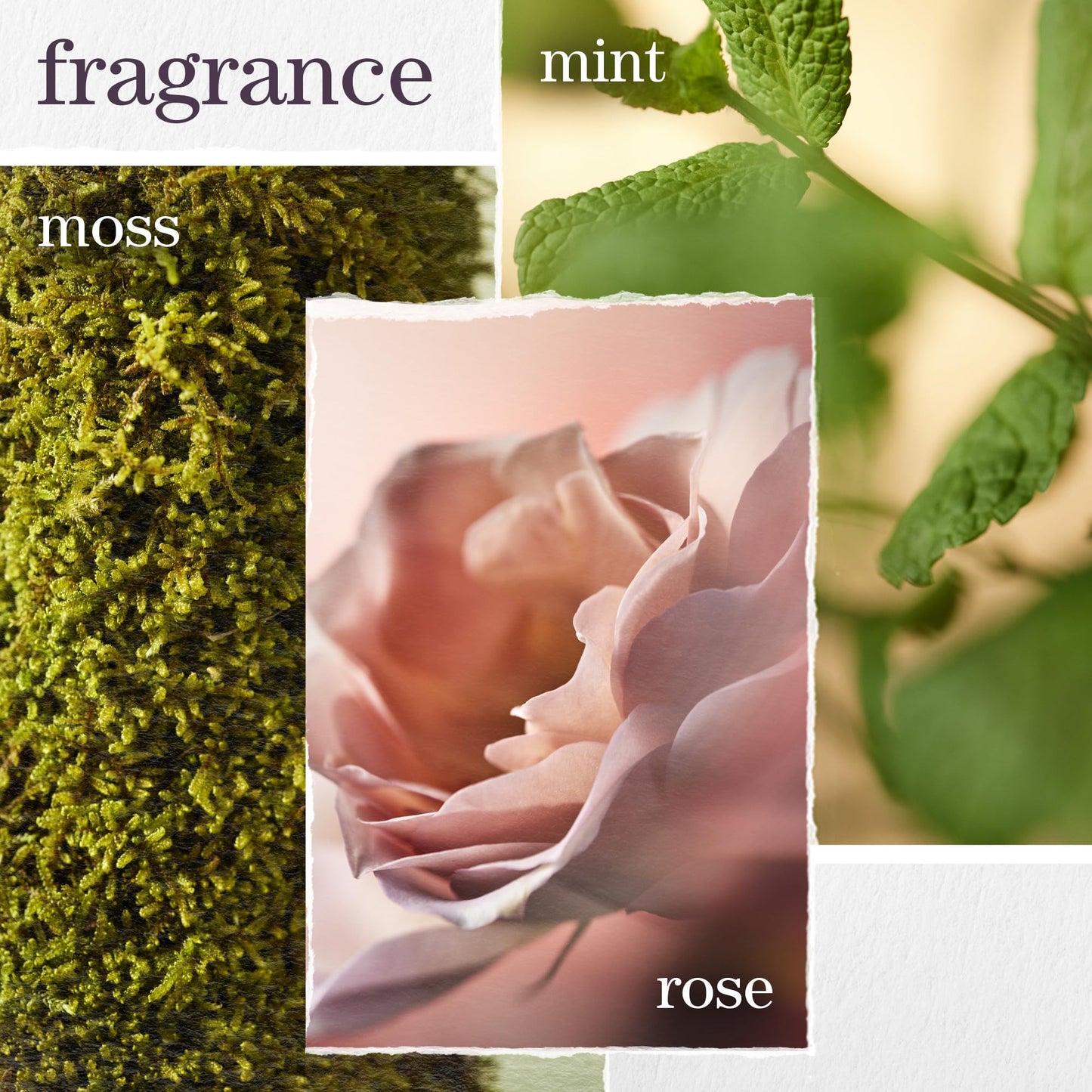 Pureology Hydrate Conditioner - For Dry or Color Treated Hair, Nourishing Conditioner to Restore Moisture and Seal in Hydration, Vegan, 9 Fl Oz