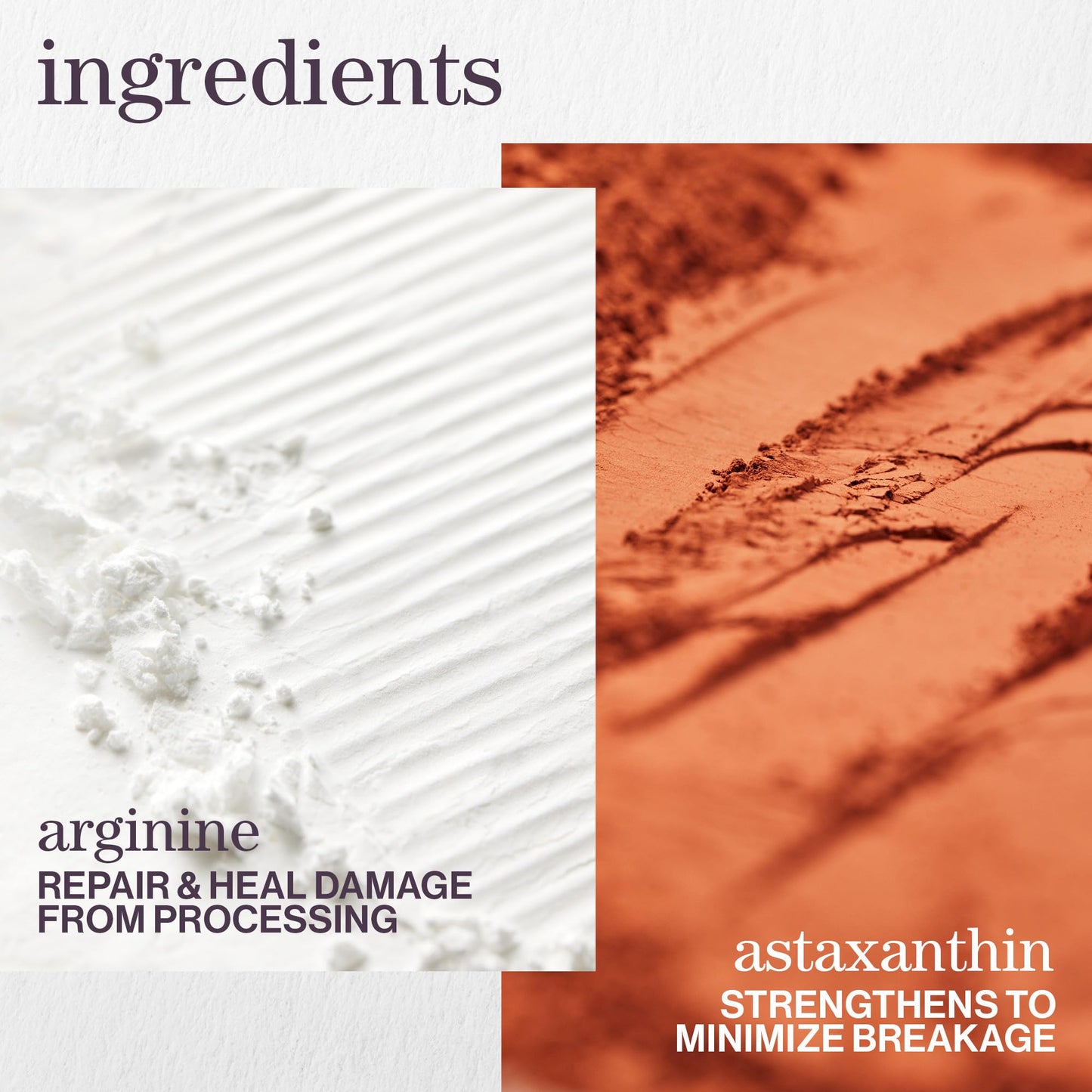 Pureology Strength Cure Conditioner - For Damaged or Color Treated Hair, Hair Strengthening & Prevents Breakage, Vegan & Sulfate-Free, 9 Fl Oz