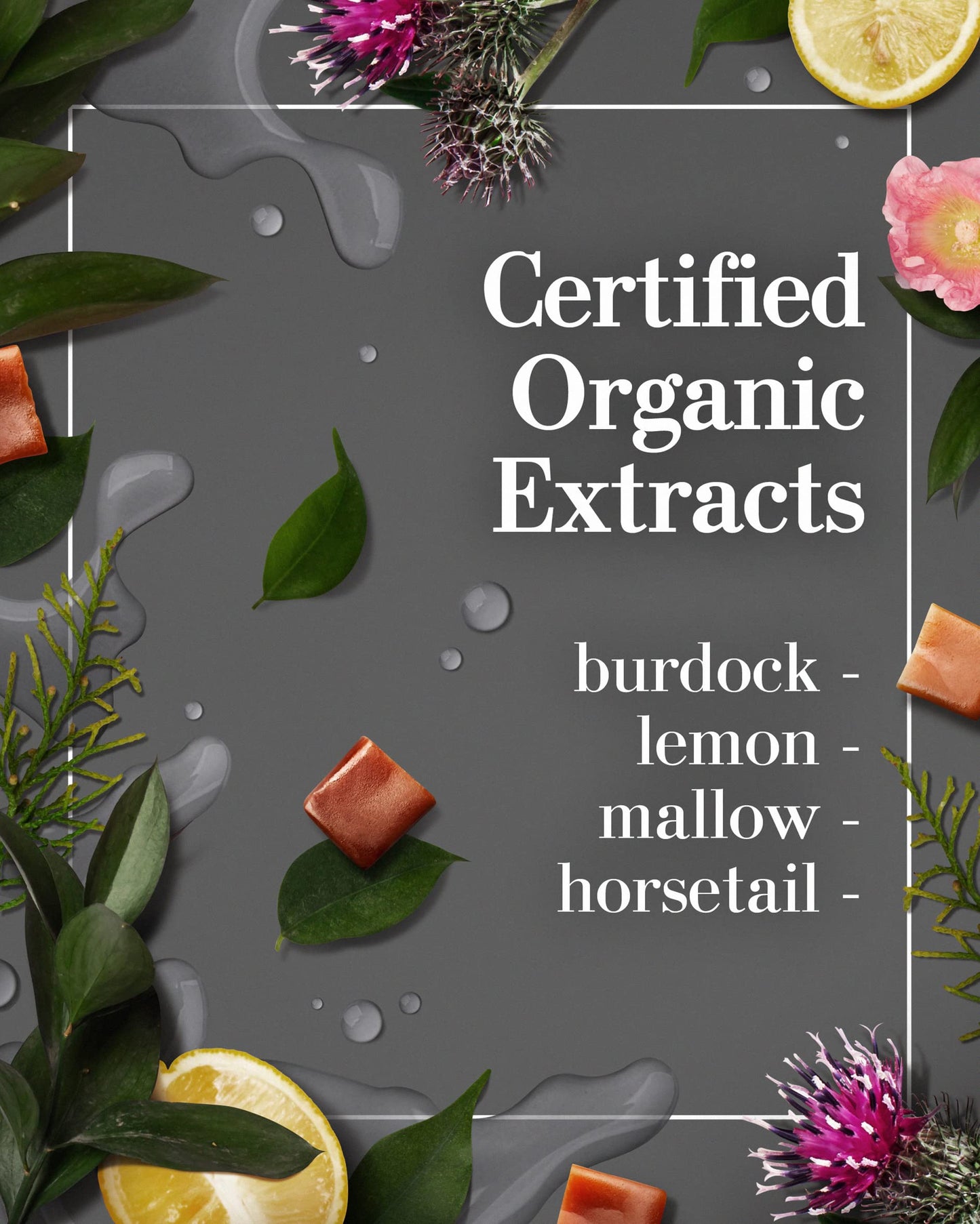 Avenue Man Texture Clay for Men – Water-Based Matte Hair Clay Pomade with Herbal Extracts, Lightweight, Frizz-Resistant, Paraben-Free, 2oz