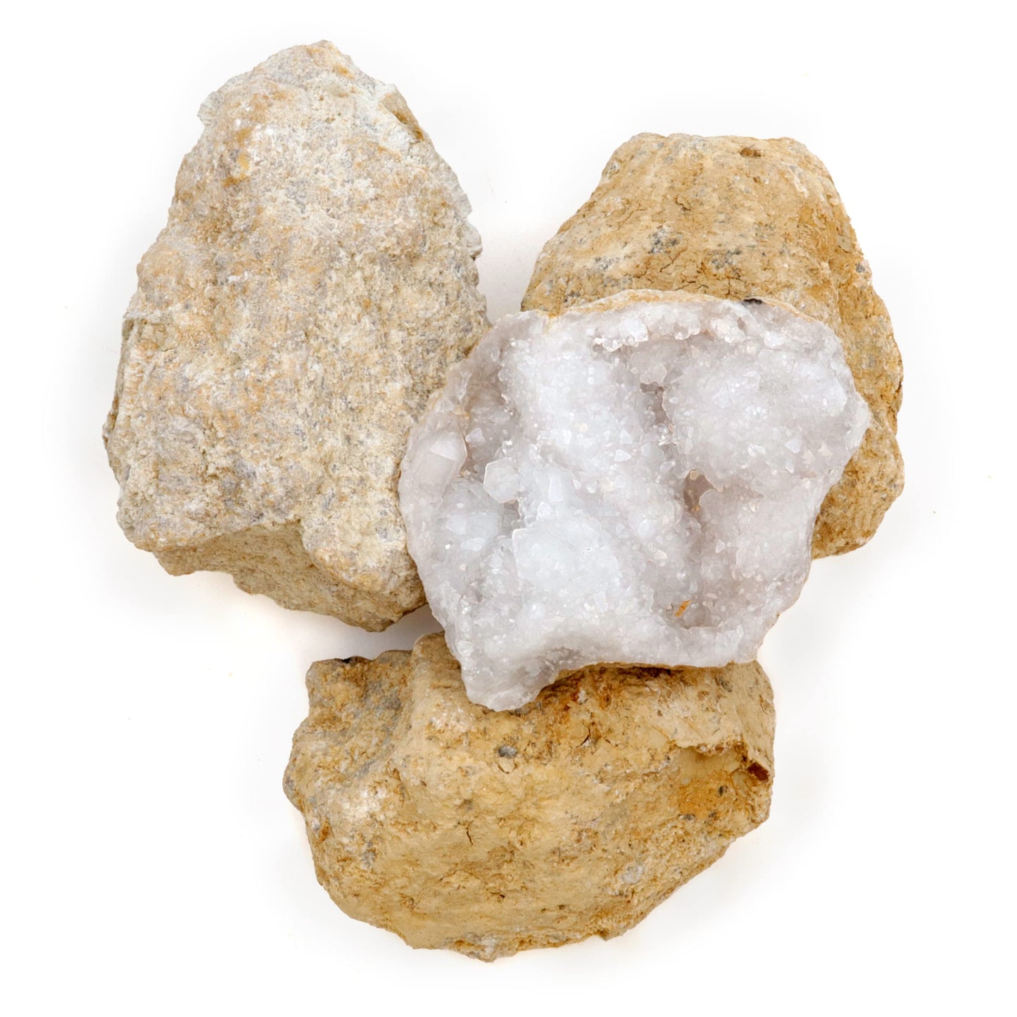 DANCING BEAR 25 Medium Geodes 1–1.5" – 90% Hollow, Break to Discover Crystals Inside! Includes Educational Info, Party Favors & Prizes