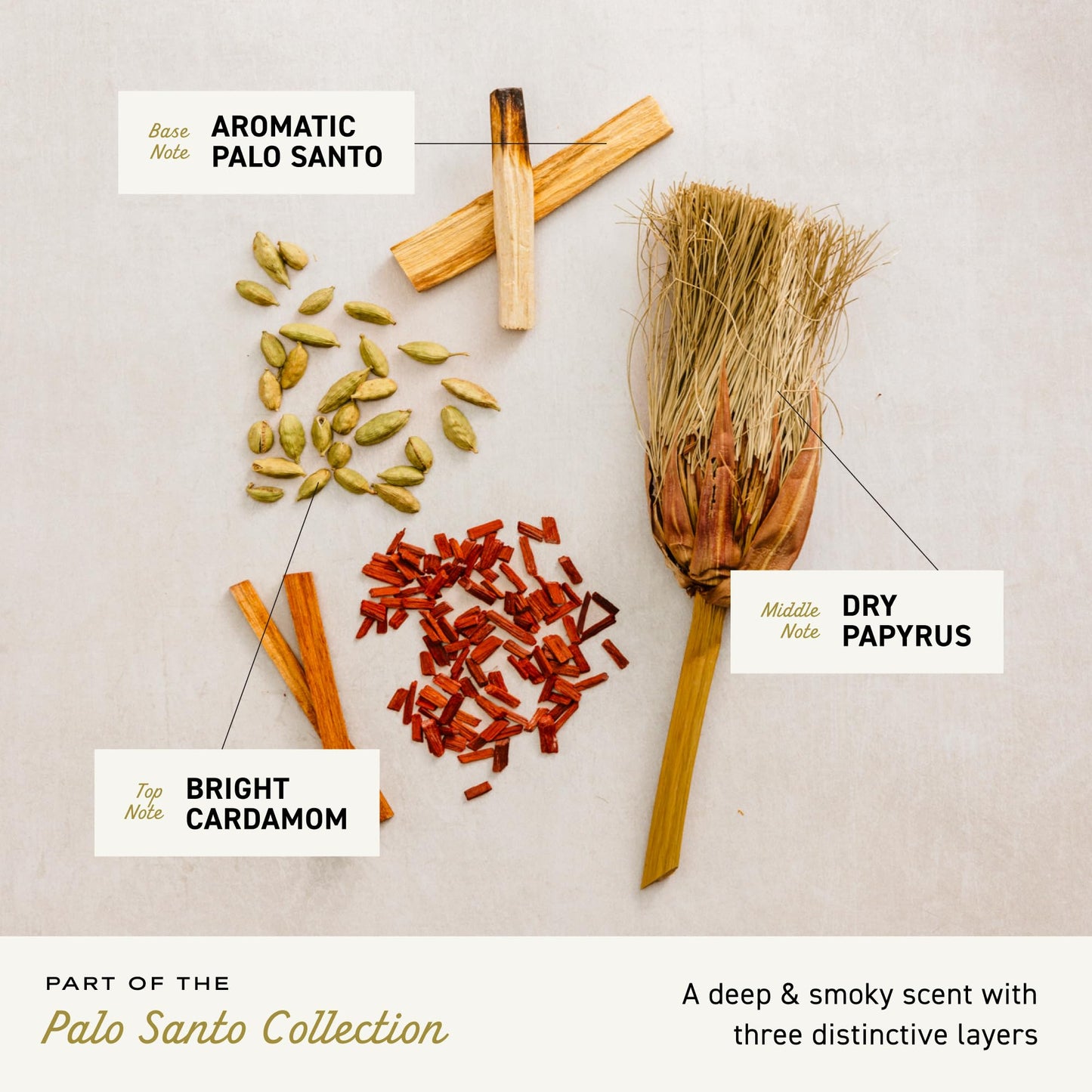 Cremo Palo Santo Barber Grade 2-n-1 Shampoo & Conditioner, Notes of Bright Cardamom, Dry Papyrus and Aromatic Palo Santo,16 Fl Oz