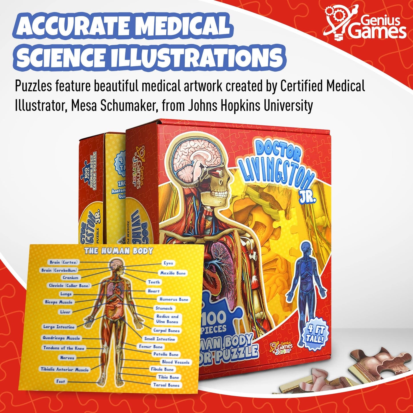 Human Anatomy Kids Floor Puzzle – Dr. Livingston Jr’s 100-Piece Full Body Jigsaw, 4ft Medically Accurate Educational Toy for Ages 6-10