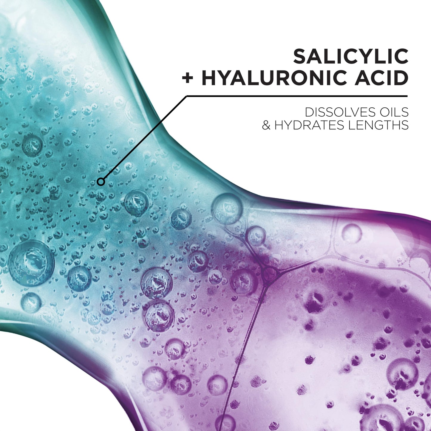 L'Oreal Paris Elvive Hyaluron + Pure Shampoo & Conditioner Set | Clarifying & Rehydrating Hair Care with Salicylic & Hyaluronic Acid, 1 Kit