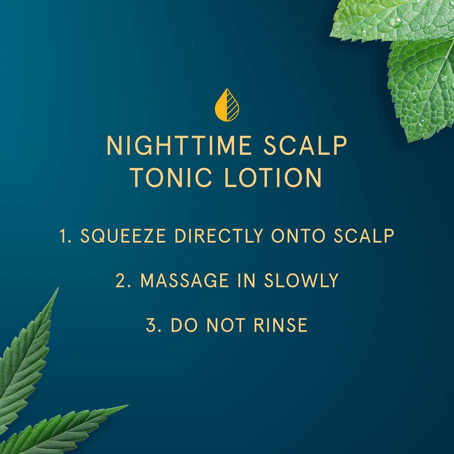 Head & Shoulders Royal Oils Curly Hair Product Nighttime Scalp Tonic Lotion with Peppermint and Hemp Oil, Sulfate Free, 3.4 Fl Oz