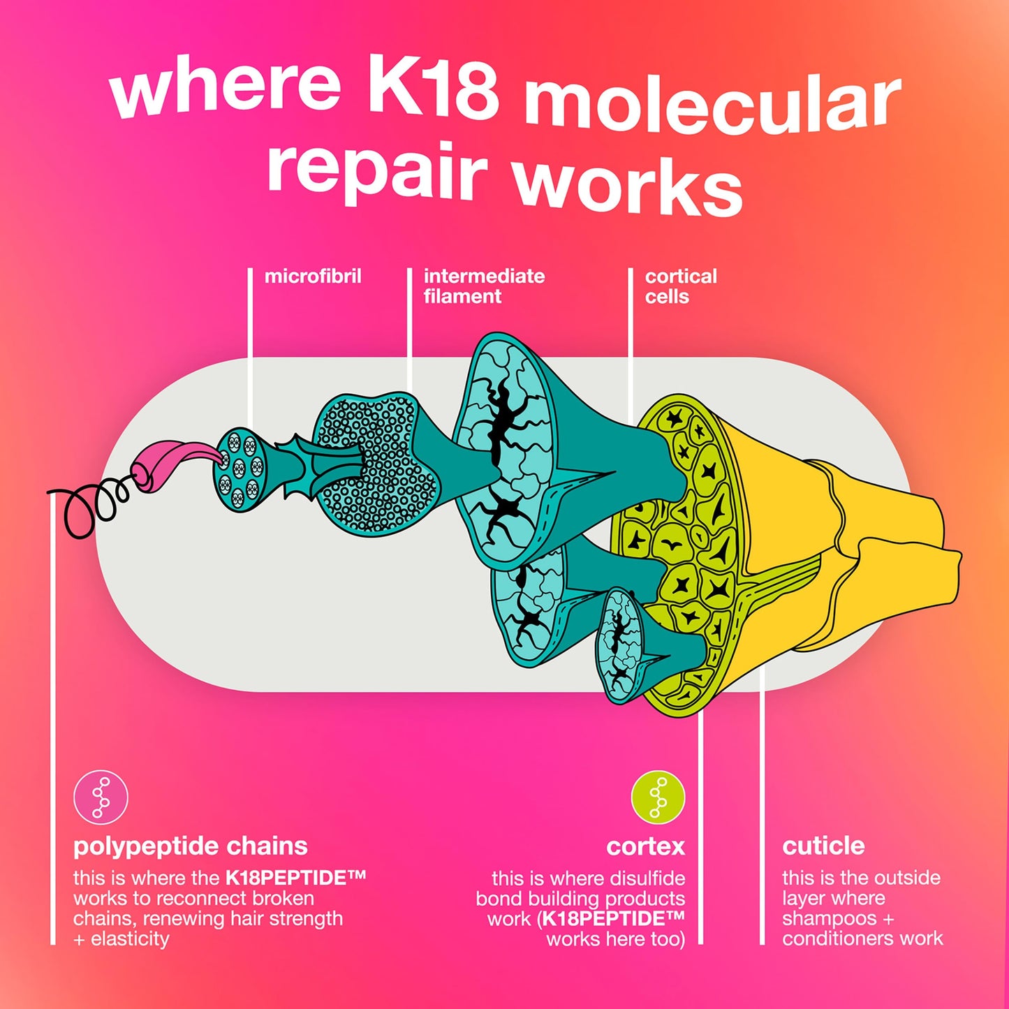 K18 Damage Repair Essentials Kit, Travel-Friendly Trio Featuring Mini Hair Mask, Mini Hair Oil & Detox Shampoo