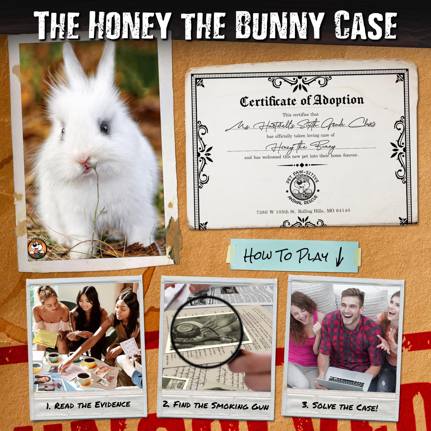 UNSOLVED CASE FILES | Honey The Bunny - A Family-Friendly Mystery Case to Solve