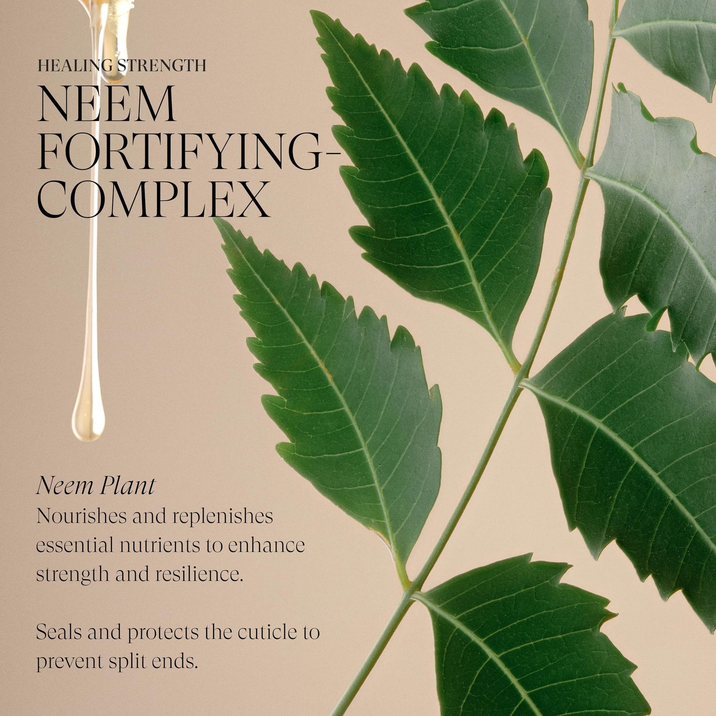 L'ANZA Healing Strength Silk Serum | Strengthens & Repairs Damaged Hair | UV & Heat Protection | Smooths Split Ends | Anti-Frizz Shine | 3.4 Fl Oz