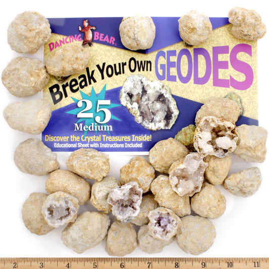 DANCING BEAR 25 Medium Geodes 1–1.5" – 90% Hollow, Break to Discover Crystals Inside! Includes Educational Info, Party Favors & Prizes