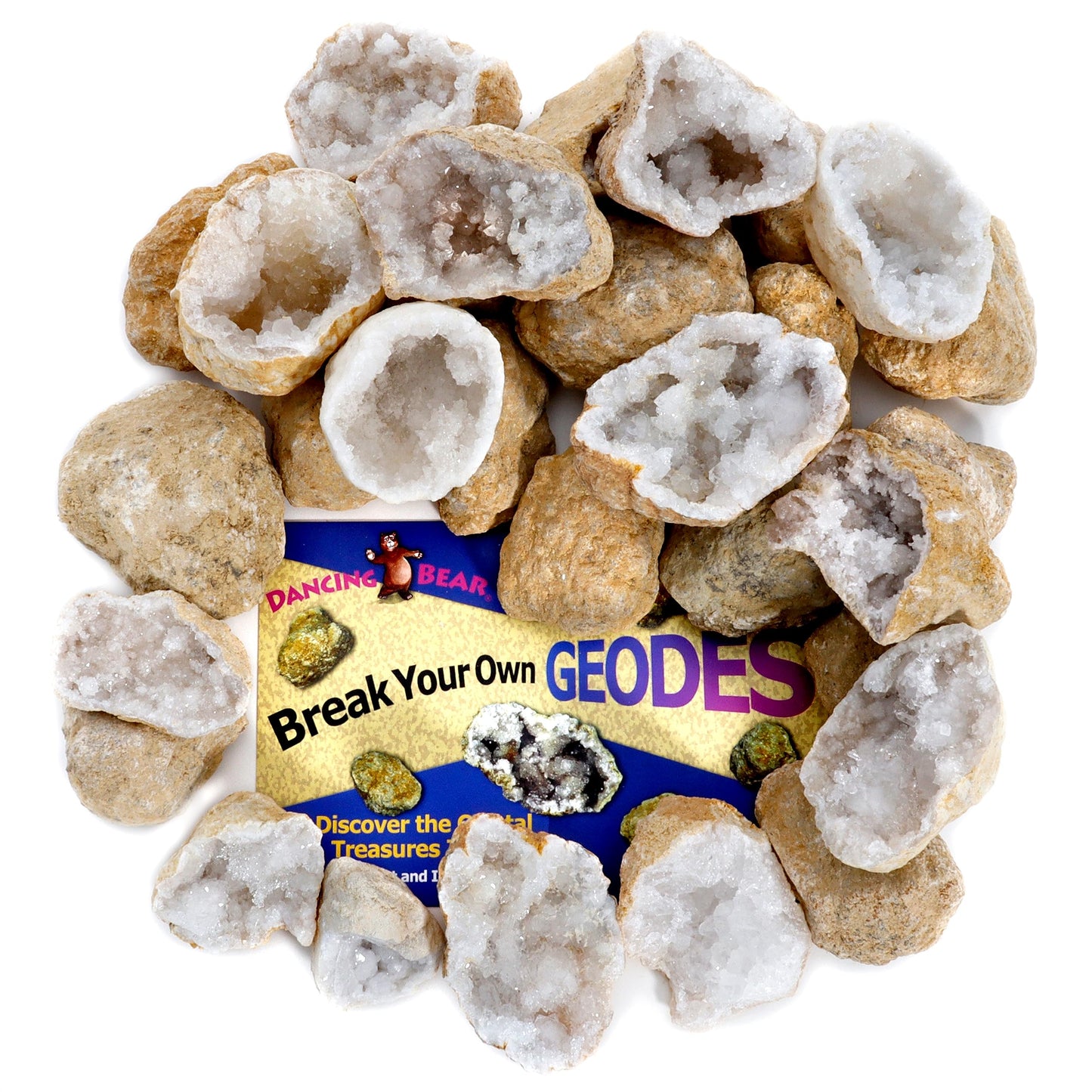 DANCING BEAR 25 Medium Geodes 1–1.5" – 90% Hollow, Break to Discover Crystals Inside! Includes Educational Info, Party Favors & Prizes