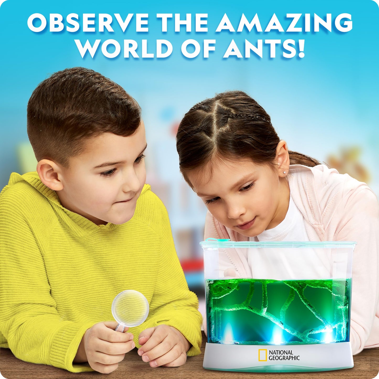 National Geographic Ant Habitat Kit for Kids – Light-Up Terrarium with Magnifiers, Tunnels & Activities, Ant Colony Explorer