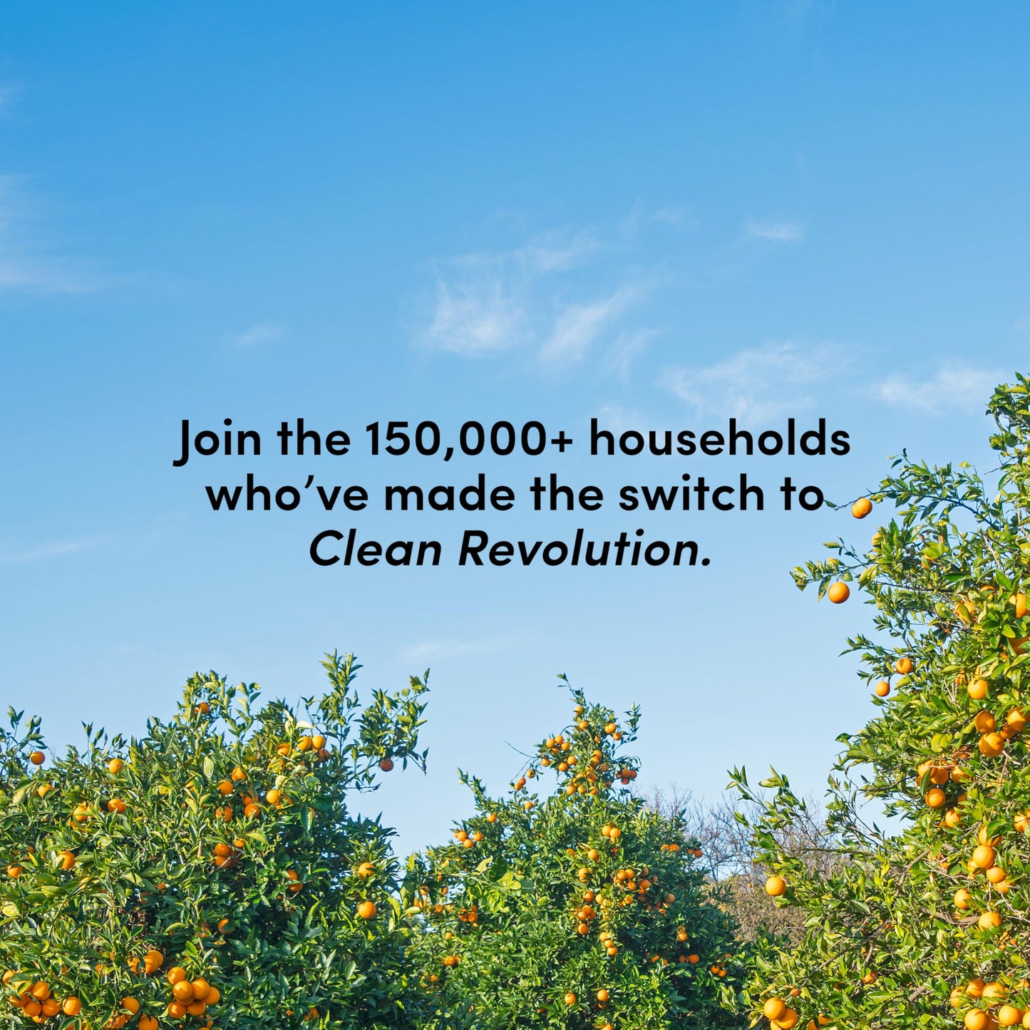 Clean Revolution Foaming Hand Soap Refill Supply Container, Ready to Use Formula, Dreamy Citrus Fragrance, Gluten Free, 128 Fl. Oz