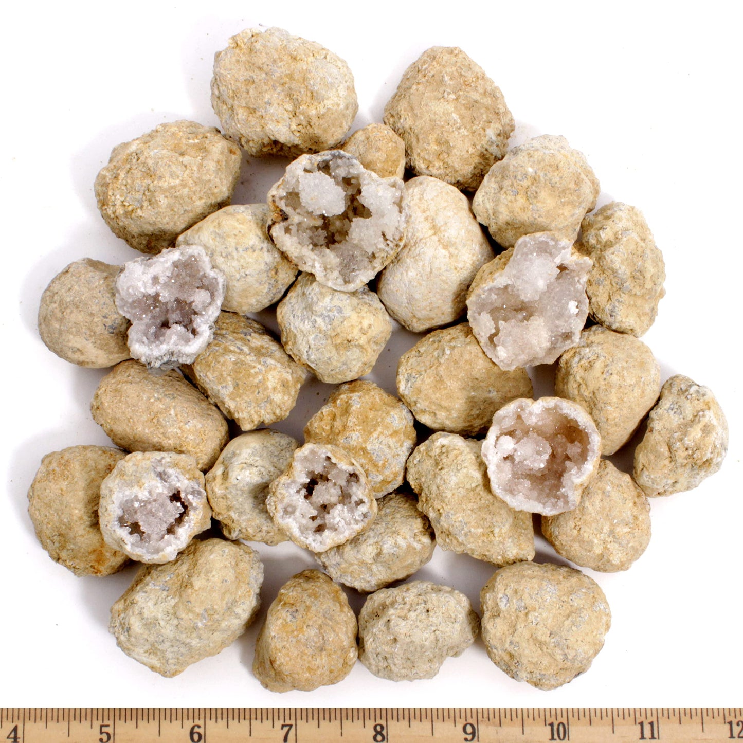 DANCING BEAR 25 Medium Geodes 1–1.5" – 90% Hollow, Break to Discover Crystals Inside! Includes Educational Info, Party Favors & Prizes