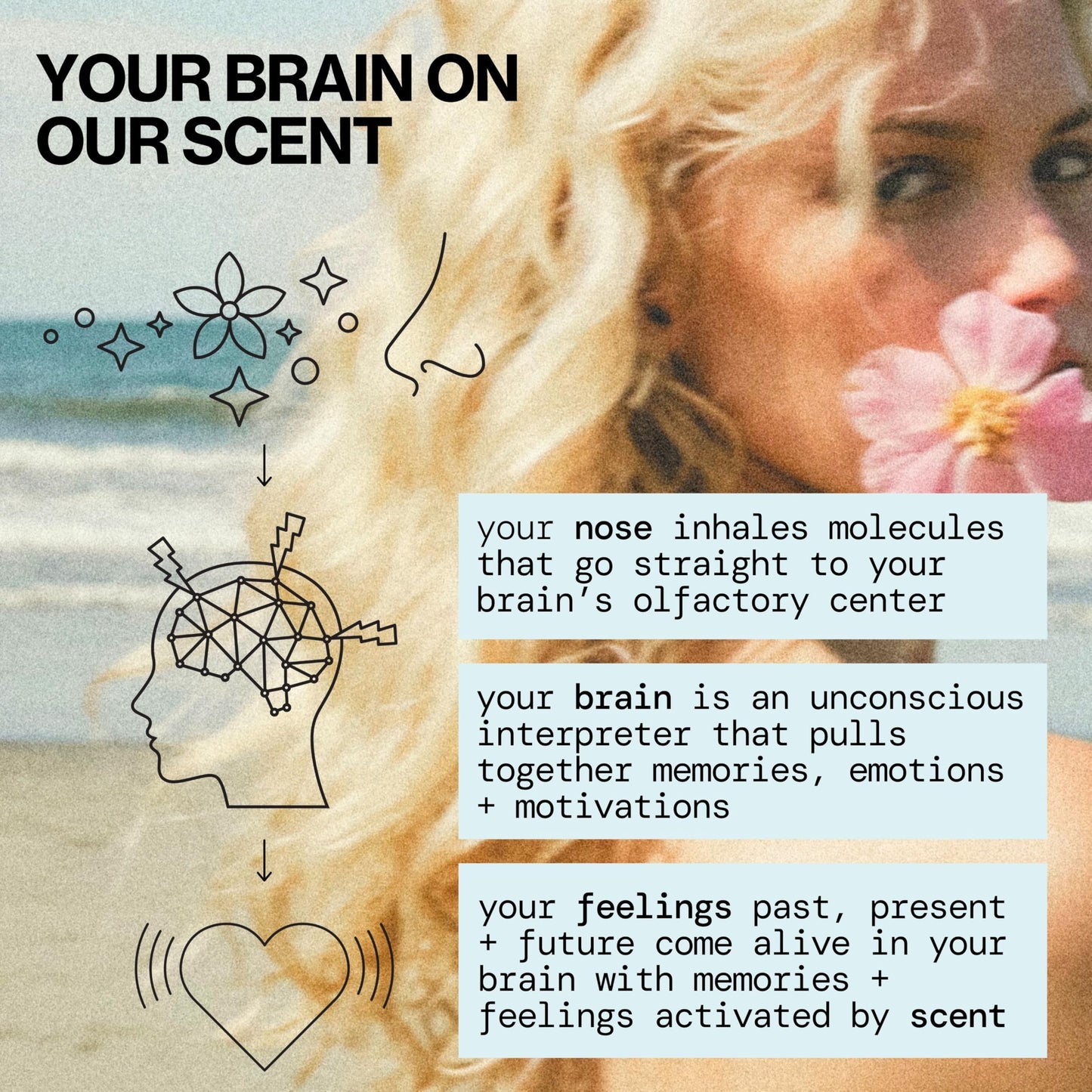 Pacifica Indian Coconut Nectar Hair & Body Mist – Alcohol-Free Perfume with Natural Essential Oils, Coconut & Vanilla Scent, Vegan & Cruelty-Free