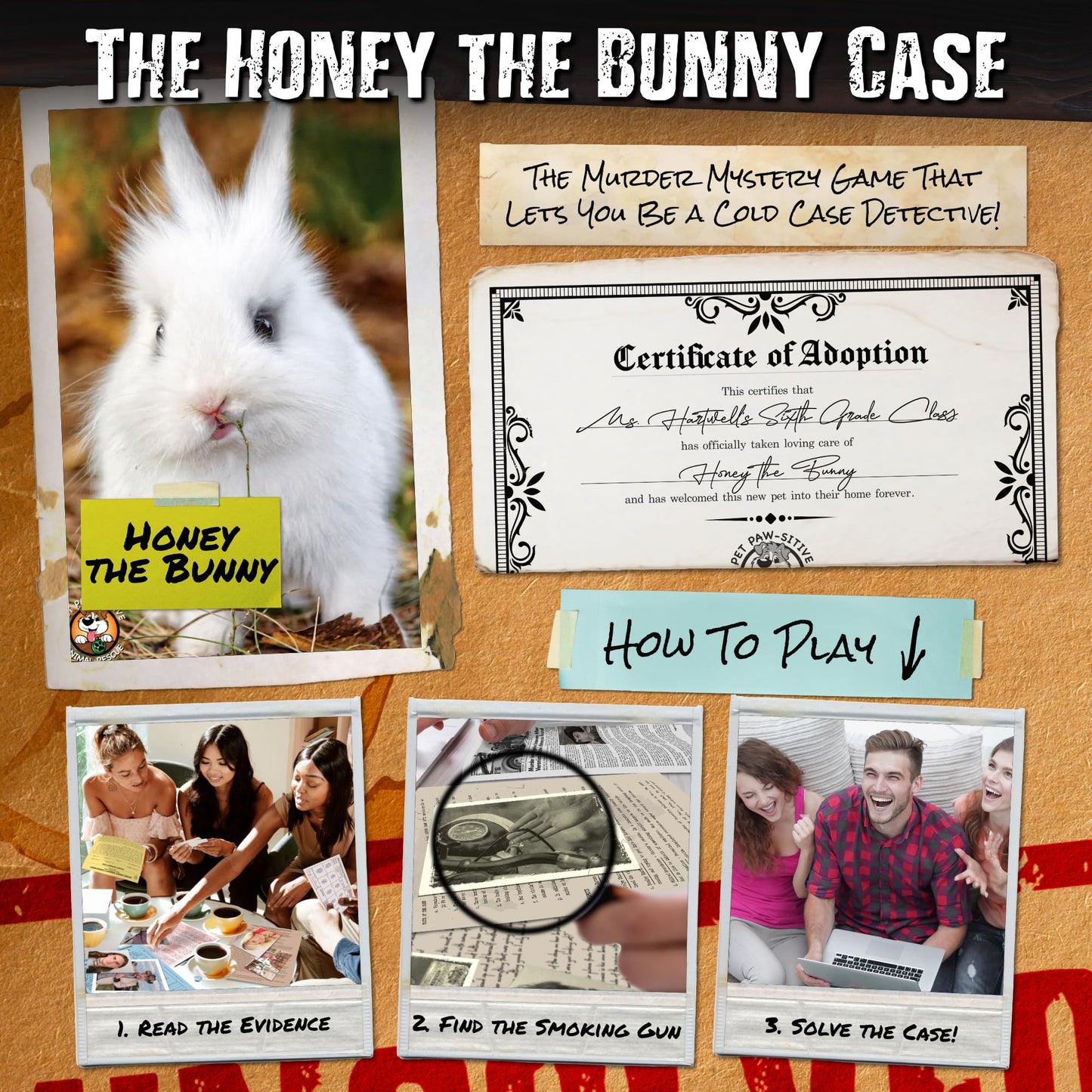 UNSOLVED CASE FILES | Honey The Bunny - A Family-Friendly Mystery Case to Solve