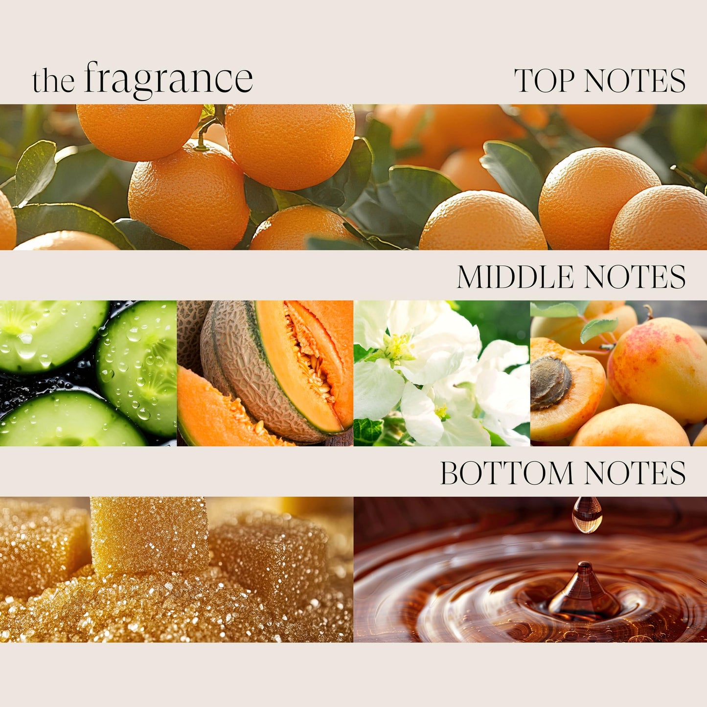 L'ANZA Healing Strength Silk Serum | Strengthens & Repairs Damaged Hair | UV & Heat Protection | Smooths Split Ends | Anti-Frizz Shine | 3.4 Fl Oz